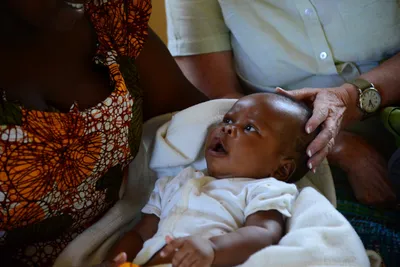 DSC_8371 (Large).JPG